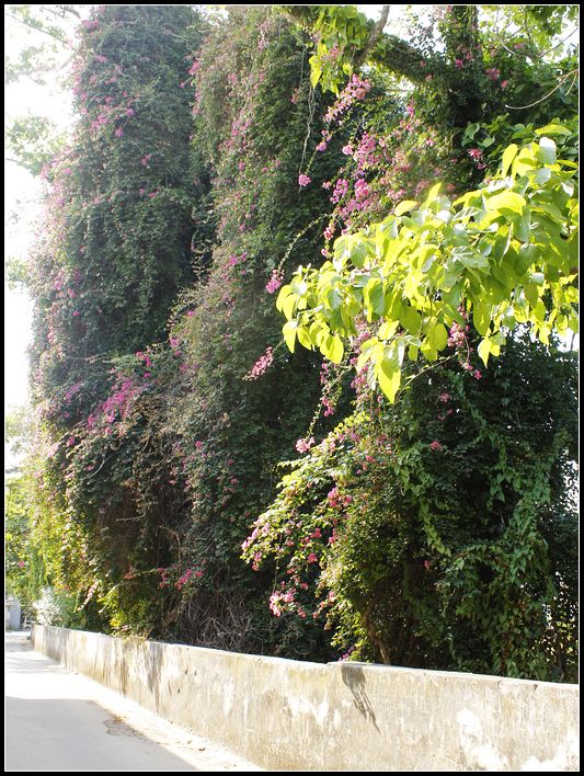 2011��7��28-8��15���� 813.jpg