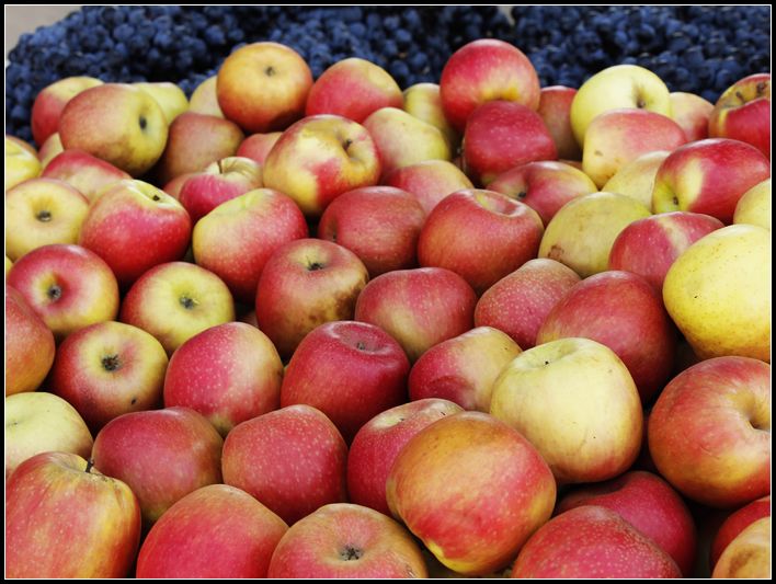 2011��7��28-8��15���� 827.jpg