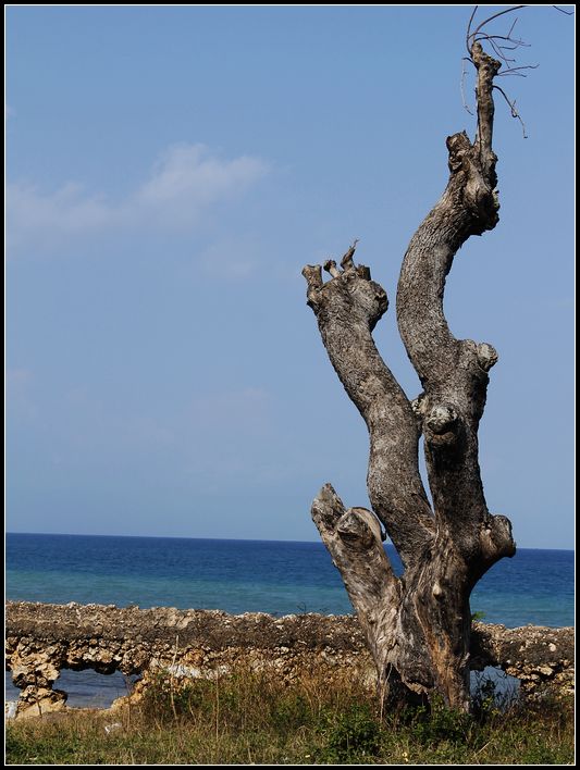 2011��7��28-8��15���� 831.jpg