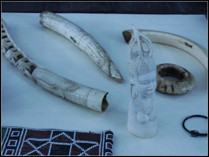 2011��7��28-8��15���� 861.jpg