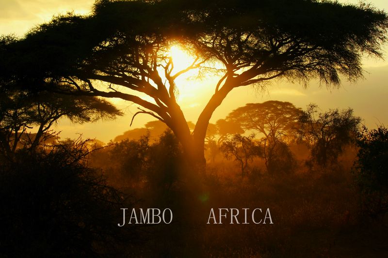 2011��7��28-8��15���� 575-1.jpg