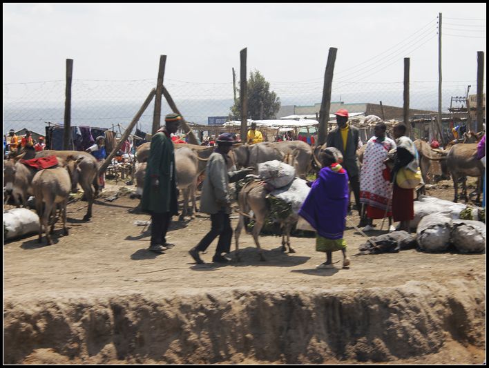 2011��7��28-8��15���� 034.jpg