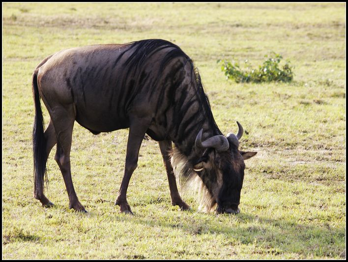 2011��7��28-8��15���� 057.jpg