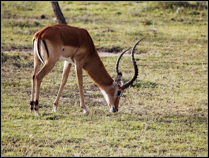 2011��7��28-8��15���� 059.jpg