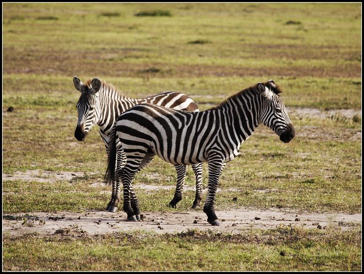 2011��7��28-8��15���� 061.jpg