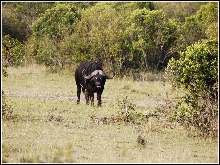 2011��7��28-8��15���� 064.jpg