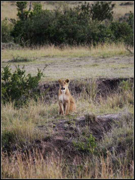 2011��7��28-8��15���� 069.jpg