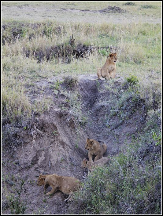 2011��7��28-8��15���� 087.jpg