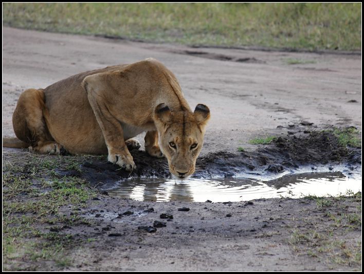 2011��7��28-8��15���� 085.jpg