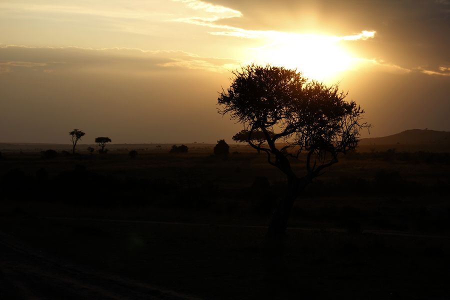 2011��7��28-8��15���� 093.jpg