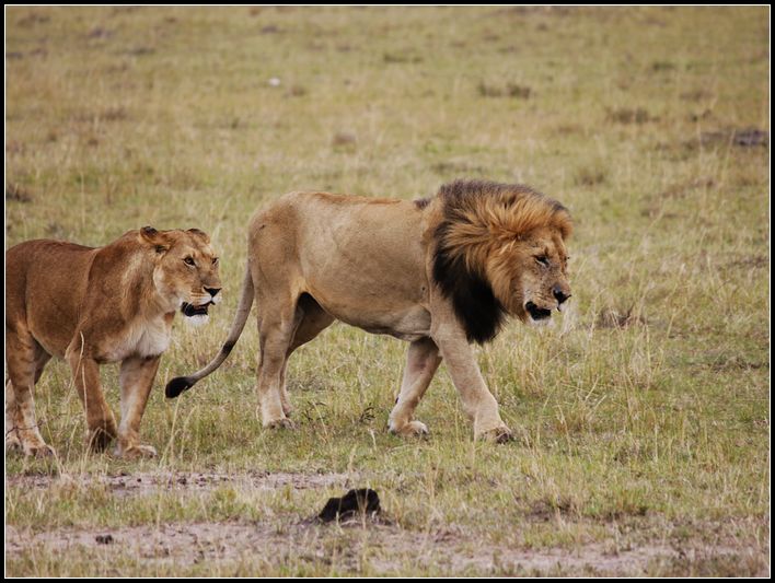 2011��7��28-8��15���� 097.jpg