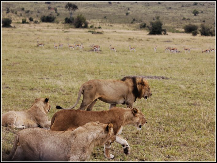 2011��7��28-8��15���� 101.jpg