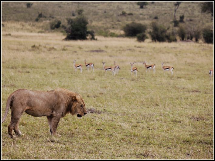 2011��7��28-8��15���� 098.jpg