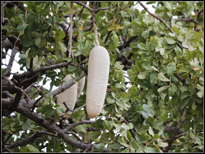 2011��7��28-8��15���� 103.jpg