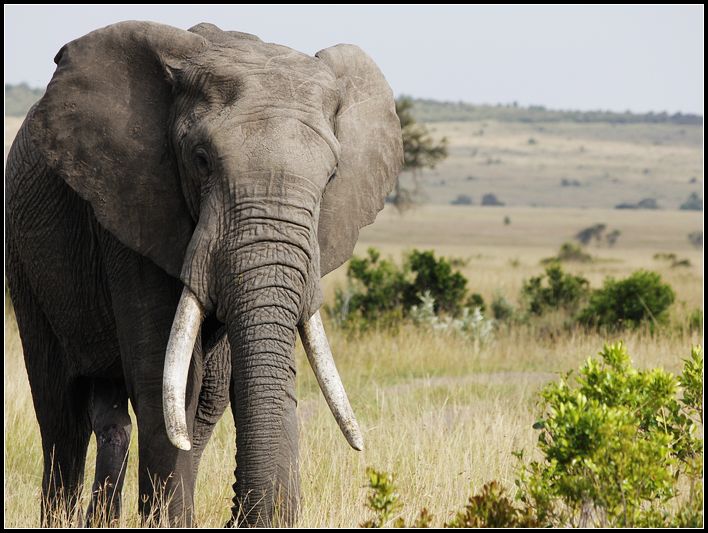 2011��7��28-8��15���� 111.jpg