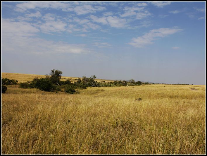 2011��7��28-8��15���� 116.jpg