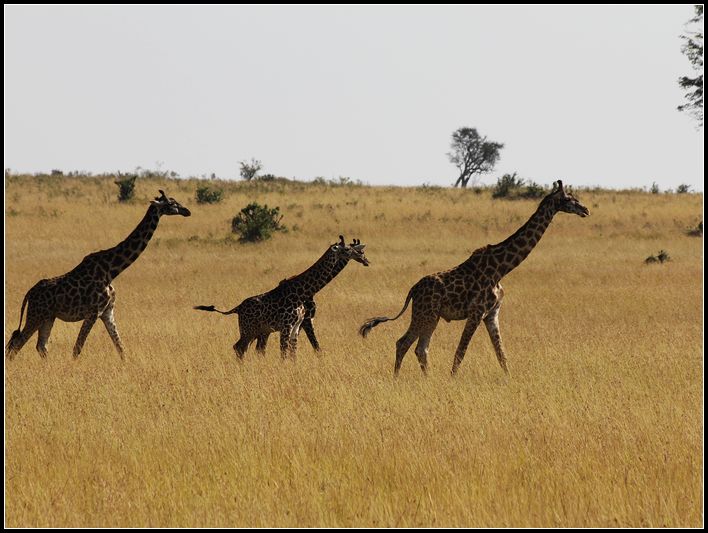 2011��7��28-8��15���� 121.jpg