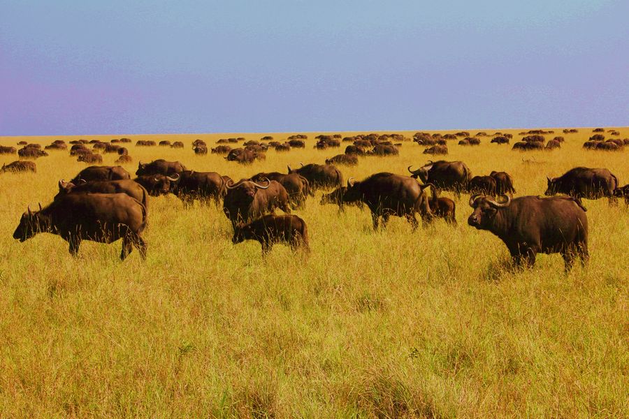 2011��7��28-8��15���� 132-2.jpg