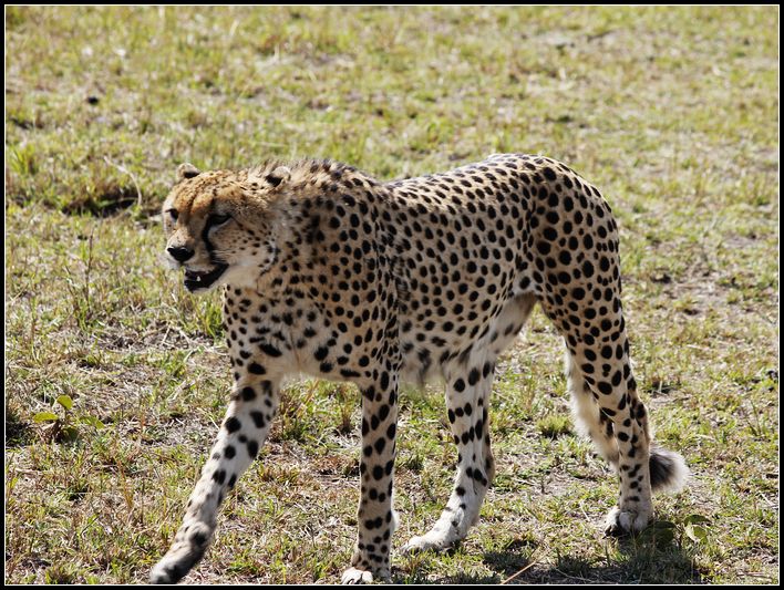 2011��7��28-8��15���� 137.jpg