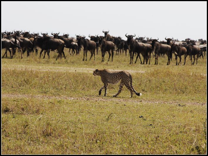 2011��7��28-8��15���� 141.jpg