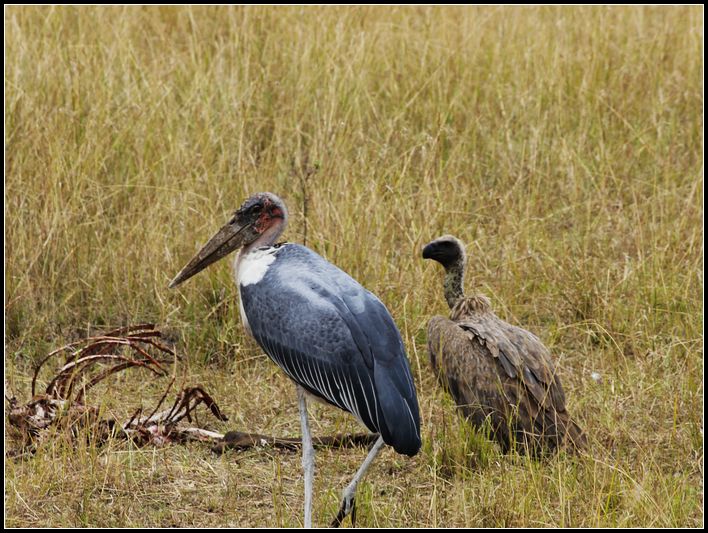 2011��7��28-8��15���� 147.jpg