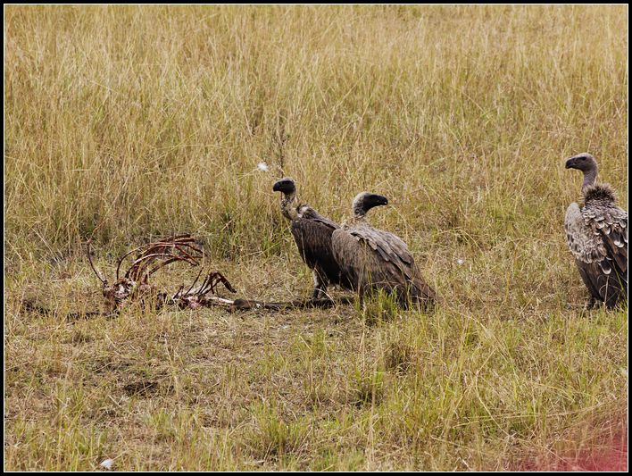 2011��7��28-8��15���� 148.jpg