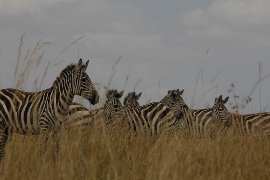 2011��7��28-8��15���� 149.jpg