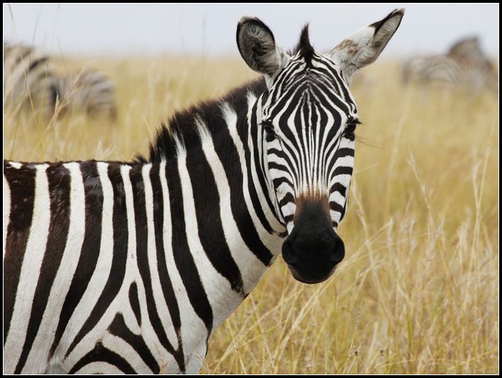 2011��7��28-8��15���� 151.jpg