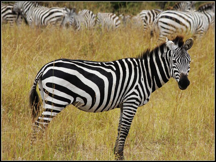 2011��7��28-8��15���� 150.jpg