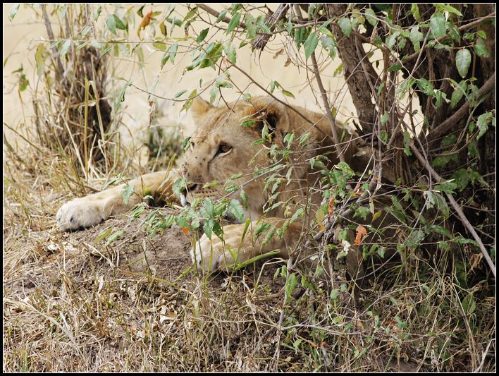 2011��7��28-8��15���� 154.jpg