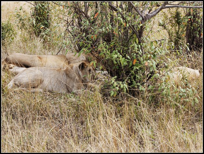 2011��7��28-8��15���� 153.jpg