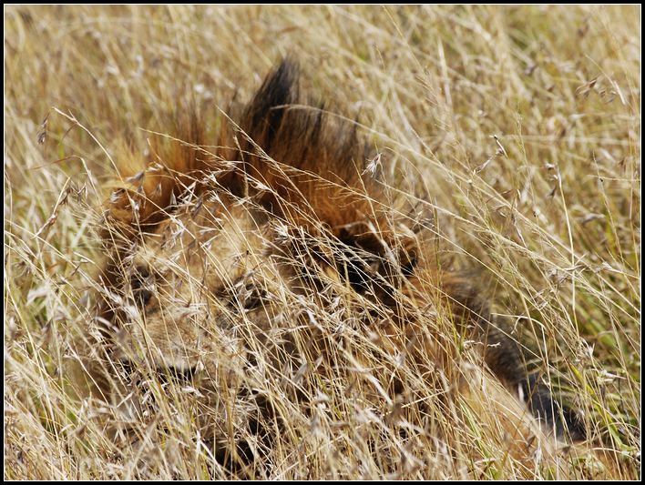 2011��7��28-8��15���� 159.jpg