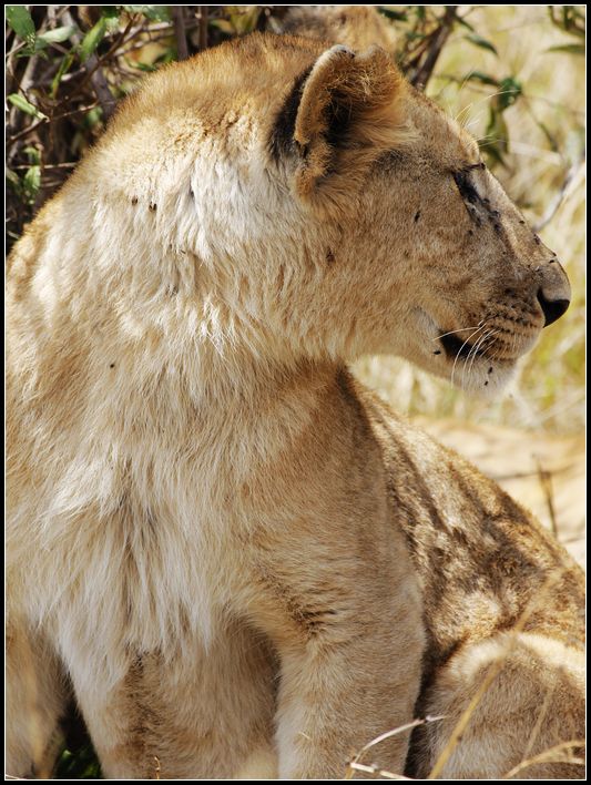 2011��7��28-8��15���� 157.jpg