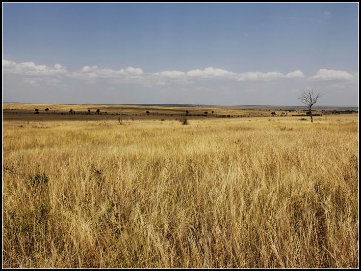 2011��7��28-8��15���� 155.jpg