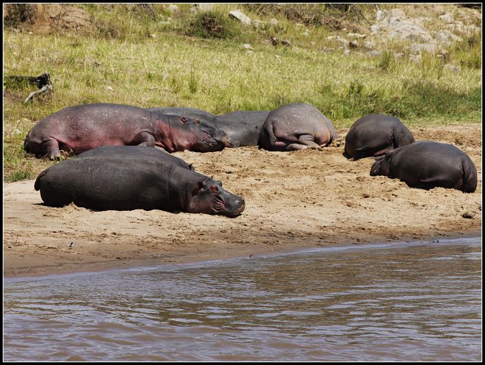 2011��7��28-8��15���� 165.jpg