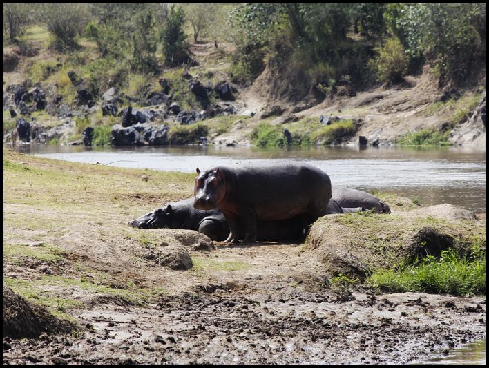 2011��7��28-8��15���� 178.jpg