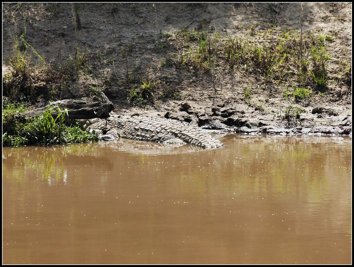 2011��7��28-8��15���� 174.jpg