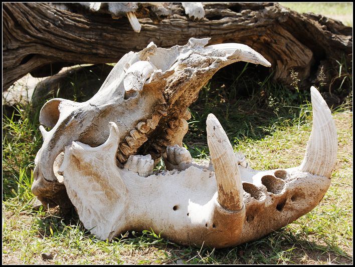 2011��7��28-8��15���� 170.jpg