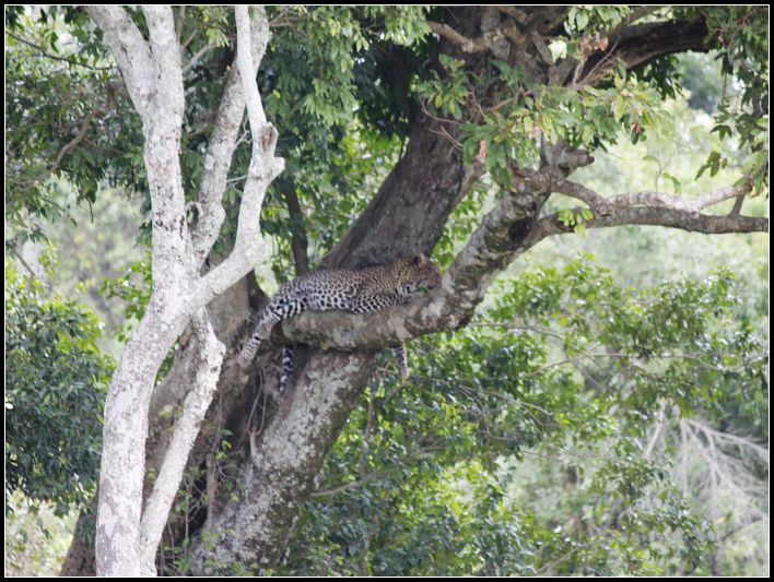 2011��7��28-8��15���� 183.jpg