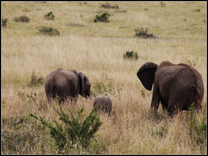 2011��7��28-8��15���� 188.jpg