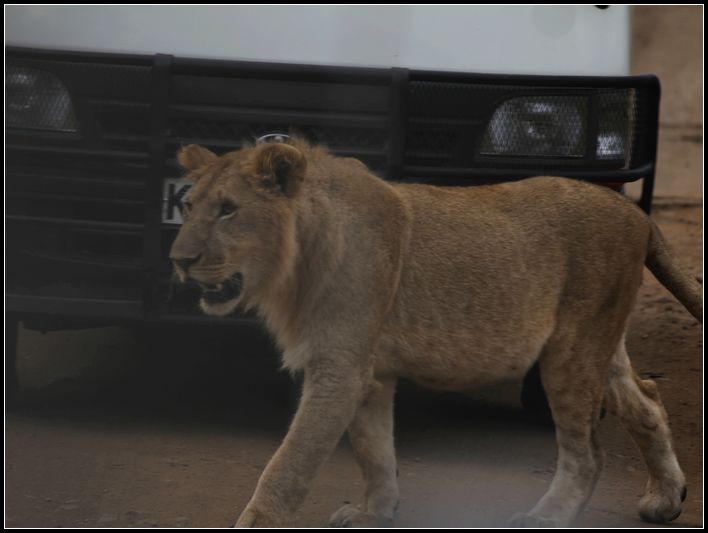 2011��7��28-8��15���� 191.jpg