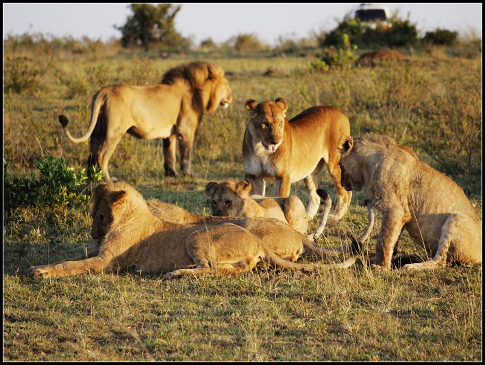 2011��7��28-8��15���� 207.jpg