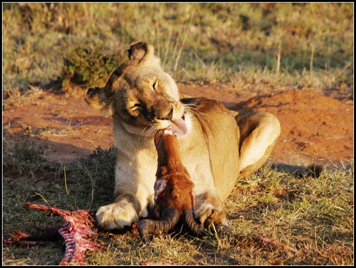 2011��7��28-8��15���� 210.jpg