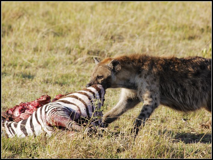 2011��7��28-8��15���� 227.jpg