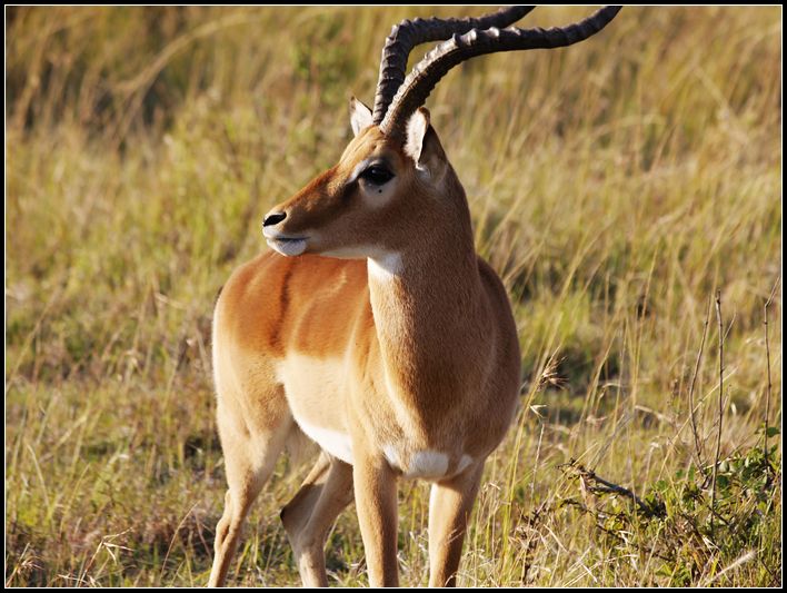 2011��7��28-8��15���� 219.jpg