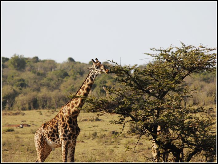 2011��7��28-8��15���� 232.jpg