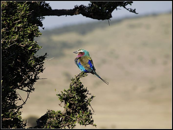 2011��7��28-8��15���� 234.jpg