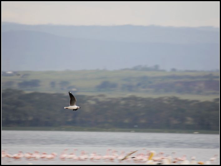 2011��7��28-8��15���� 252.jpg