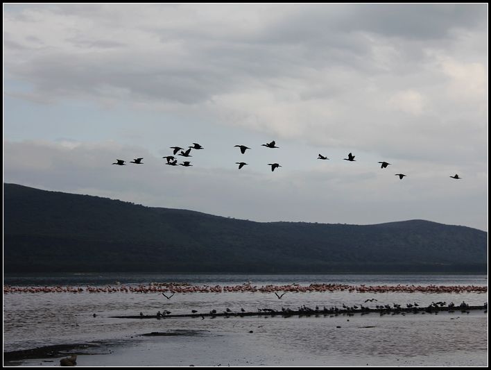 2011��7��28-8��15���� 255.jpg