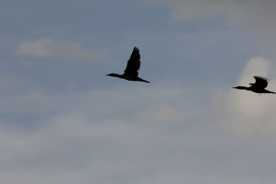 2011��7��28-8��15���� 262.jpg